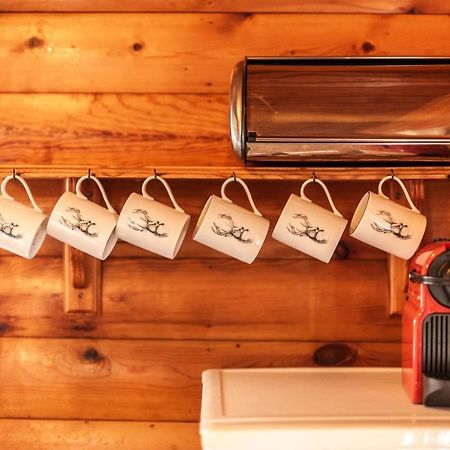 3 Bedroom Log Cabin In Snowdonia Nr Mtb Trails Tanygrisiau Exteriér fotografie