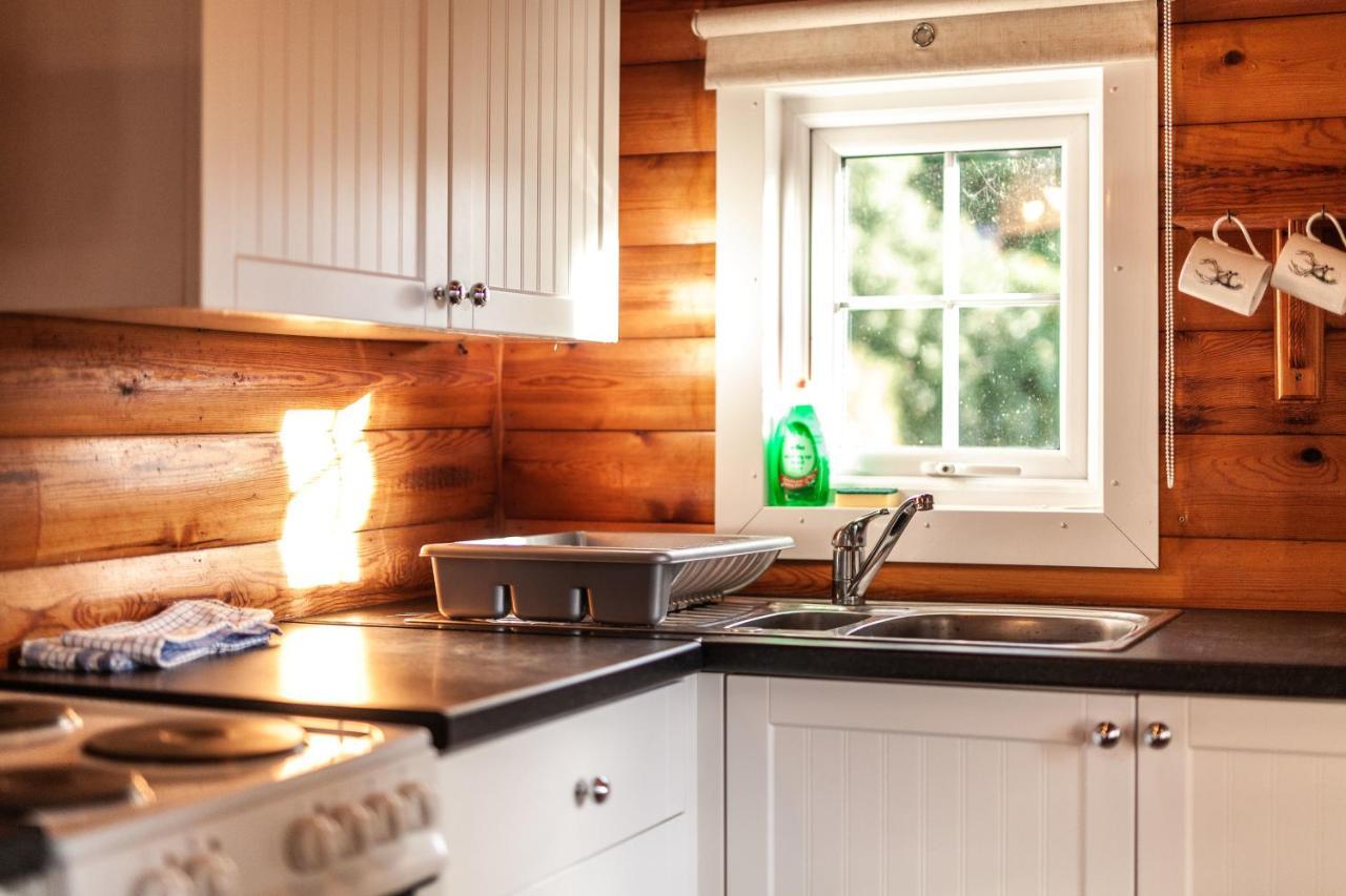 3 Bedroom Log Cabin In Snowdonia Nr Mtb Trails Tanygrisiau Exteriér fotografie