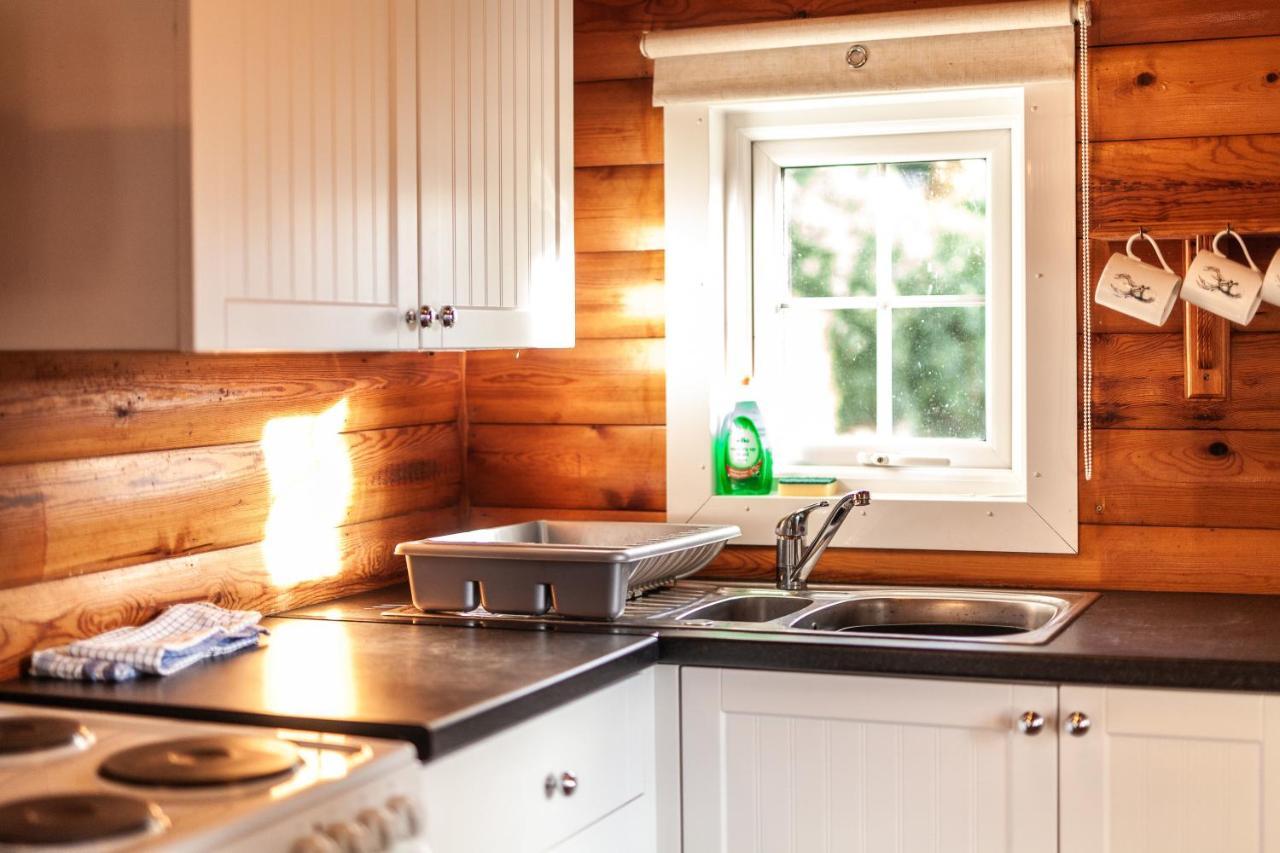 3 Bedroom Log Cabin In Snowdonia Nr Mtb Trails Tanygrisiau Exteriér fotografie